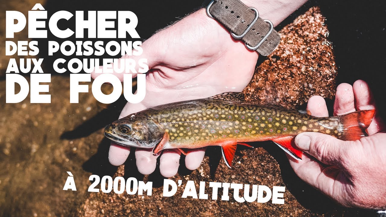 P&Ecirc;CHER DES POISSONS DE FOU &agrave; 2000M D'ALTITUDE !! 🎣 RANDO-P&Ecirc;CHE #149