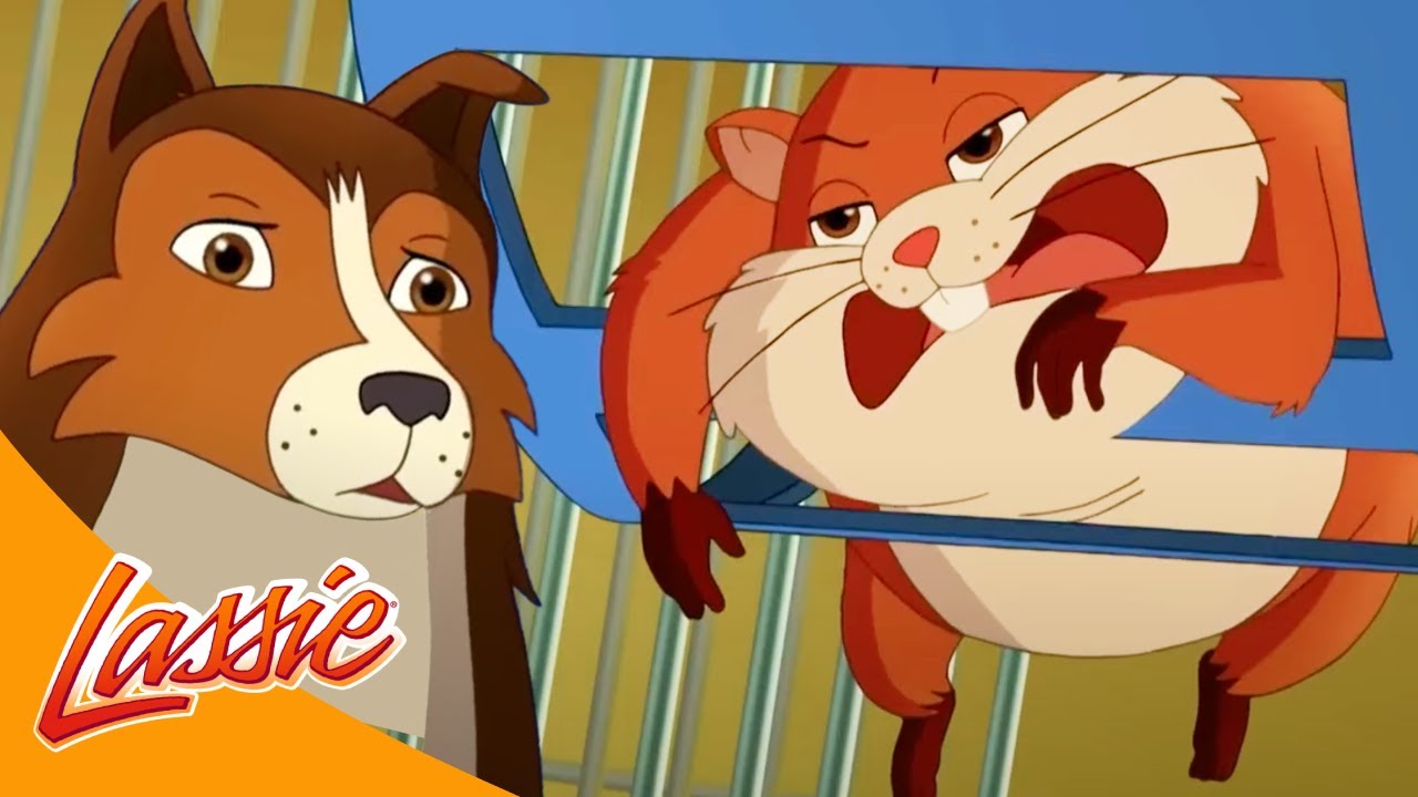 🏁 Lassie the Fast Racing Dog 🐶  + More Cartoons for Kids  ⁨@VIEWEDkids