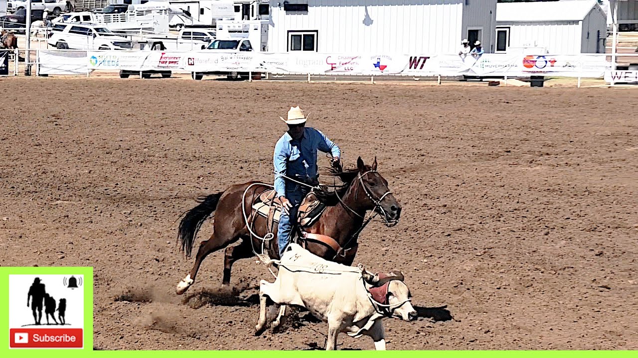 Senior Steer Roping 1st Go-Part 2🐂 2024 Spicer Gripp Memorial Roping