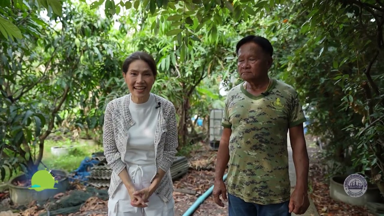 ของดี ของฝากขึ้นชื่อสมุทรปราการ มะม่วงน้ำดอกไม้พันธุ์เขียวนวล | ๑๐๐ เรื่องเมืองสมุทรปราการ ซีซั่น 2