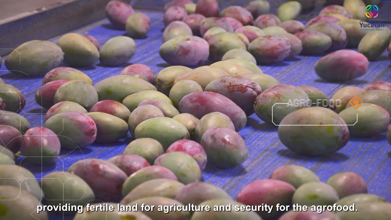 Agroindustry
