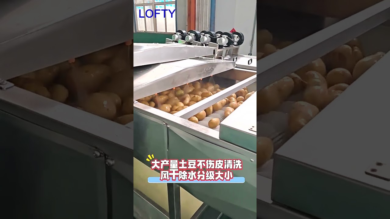 Vegetable Washer---Fruit Washer Machine  