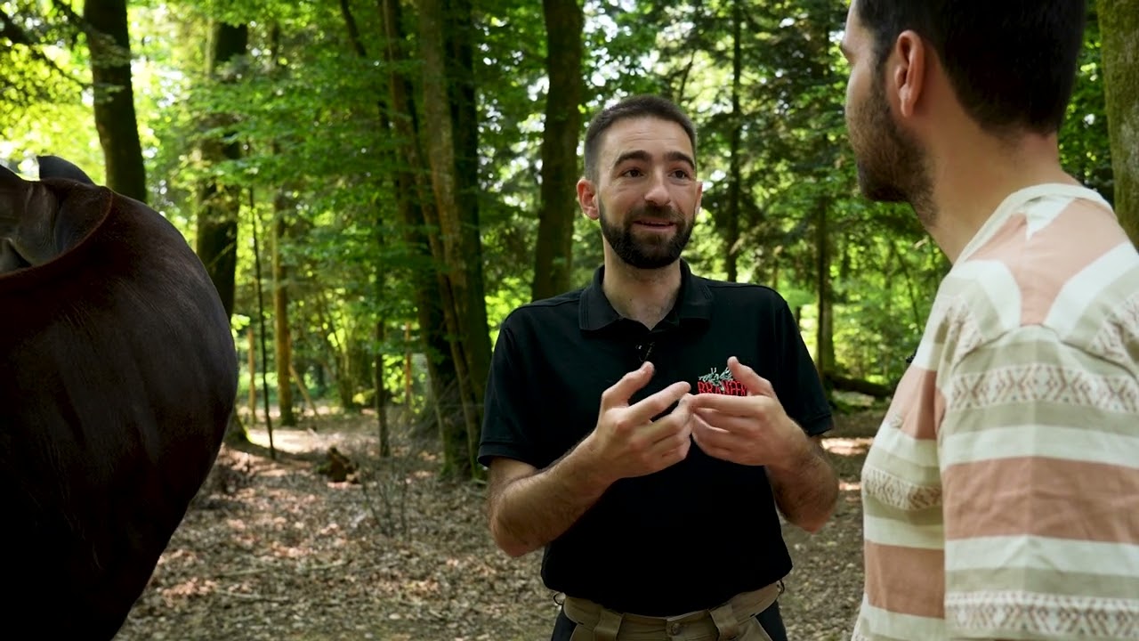 Ma rencontre avec un OKAPI !