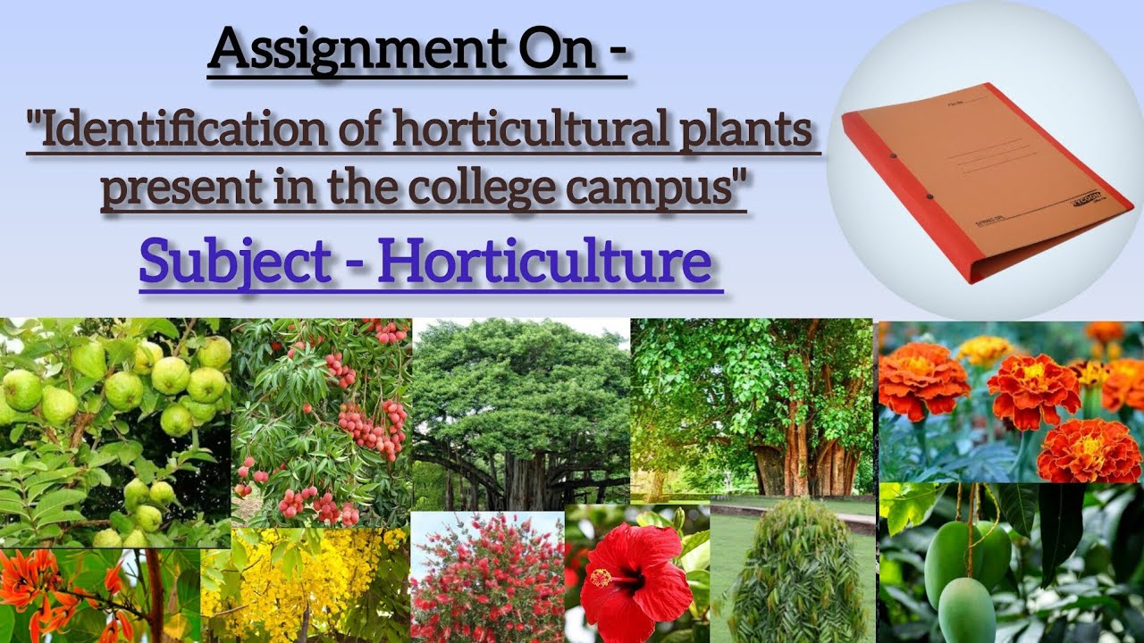 Identification of Horticultural Plants Present in the College Campus || Viva & Practical Exam ||