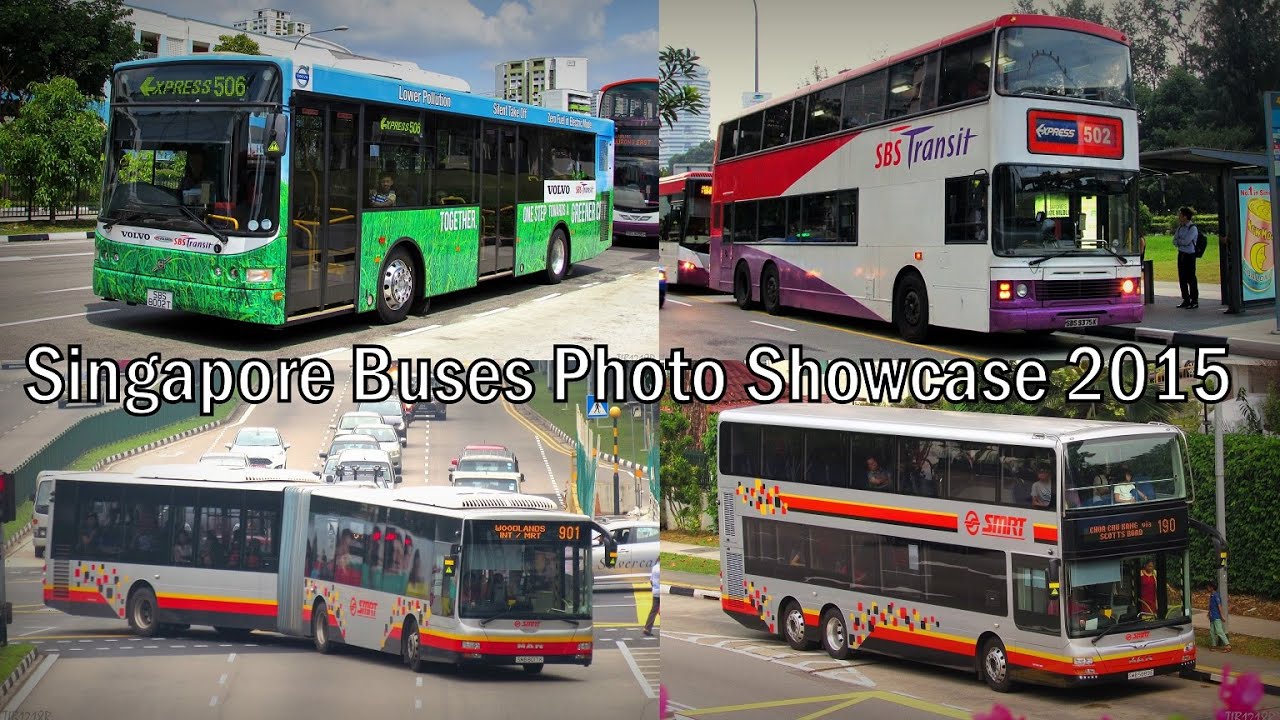 Singapore Buses Photo Showcase 2015