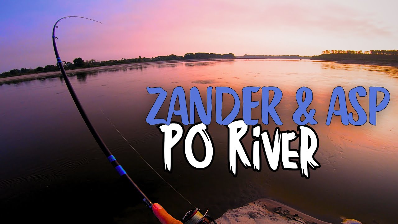 Fishing for Zander and Asp on the Po River