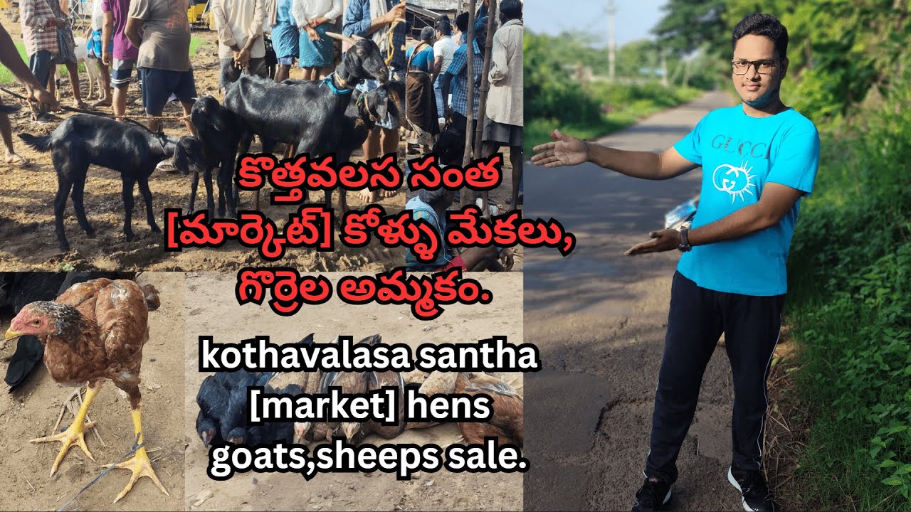 kothavalasa santha market hens goats,sheeps sale.