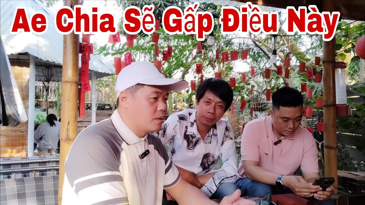 Ae YouTube Chia Sẽ Điều Này.Vịt Bẩn Nói Hồng Loan Thuê Bầu Show Để Đi Hát 