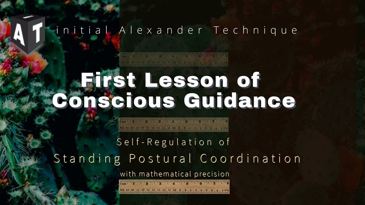 20190412 Lesson of conscious guidance with the initial Alexander technique