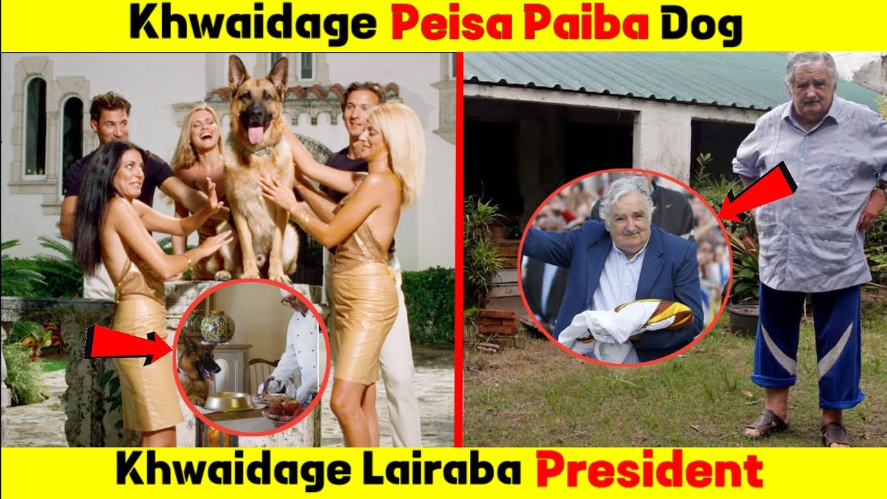 Poorest President In The World | Richest Dog In The World | Facts In Manipuri