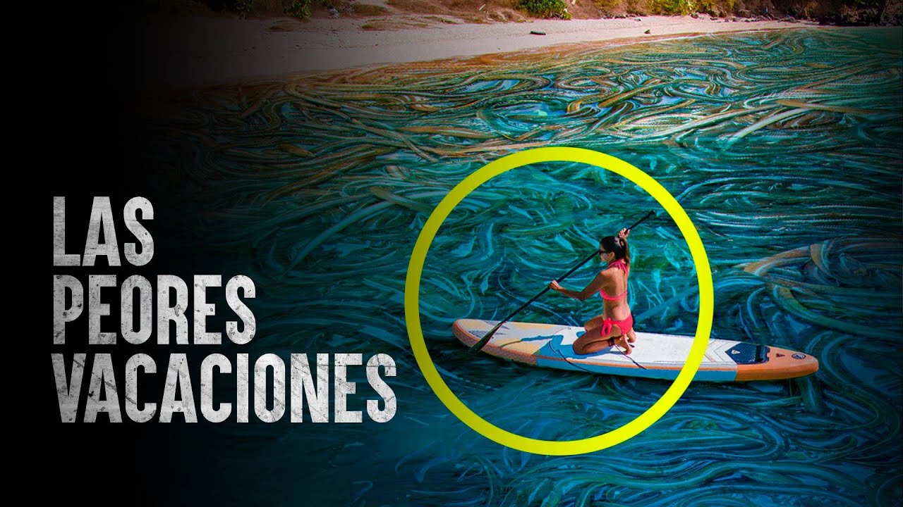 Cómo Sobrevivir en la isla de las serpientes