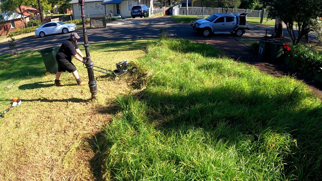 I TACKLED This Thick OVERGROWN Lawn From HELL