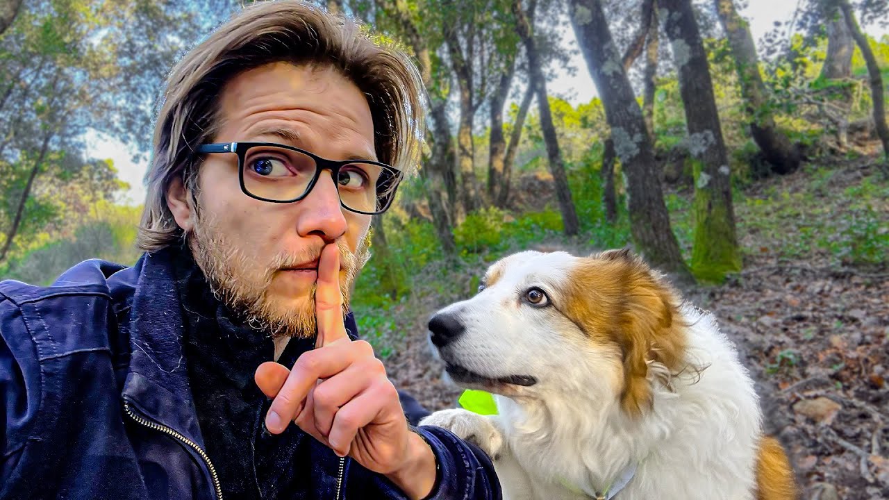 J’ai arrêté de parler à mon chien et l’impact a été immédiat