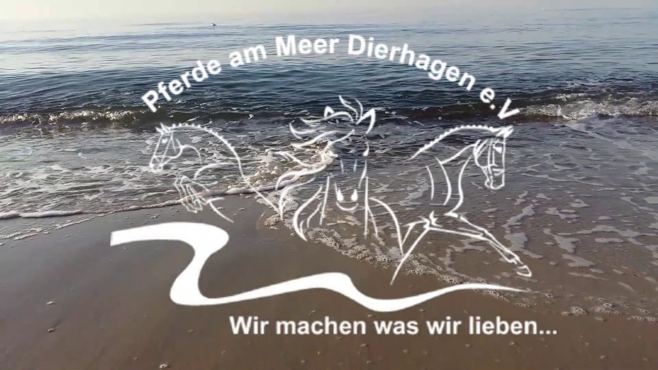 Strandritt ~ Pferde am Meer Dierhagen