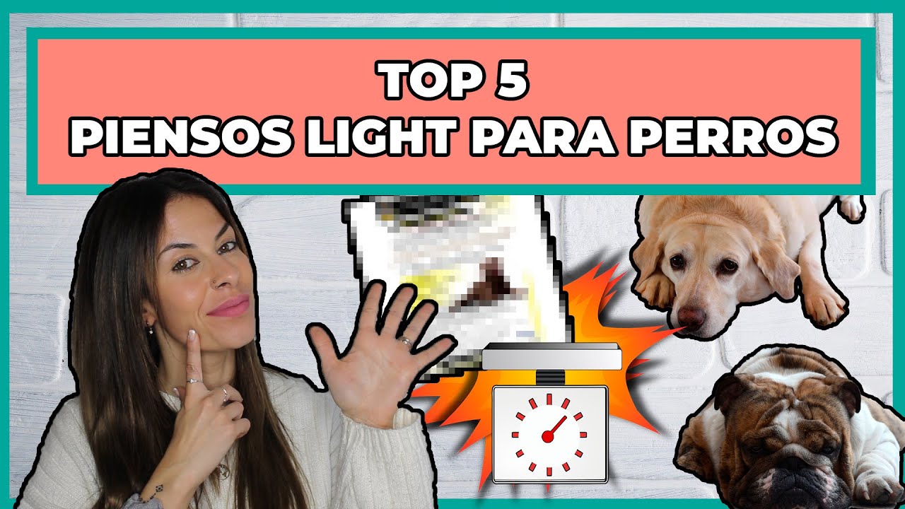 💥PIENSOS LIGHT PARA PERROS 🐶 | TOP 5️⃣ MEJORES PIENSOS para PERROS con SOBREPESO ⚖