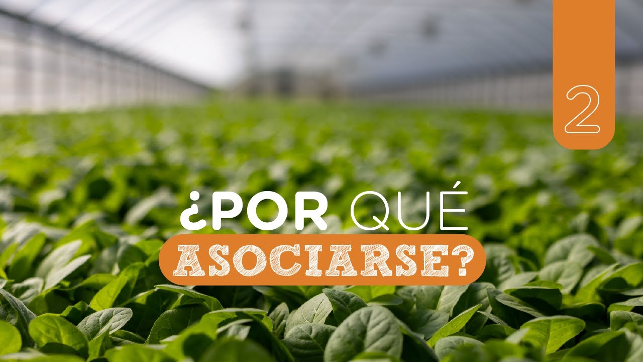 &iquest;Asociarse en el mundo rural?