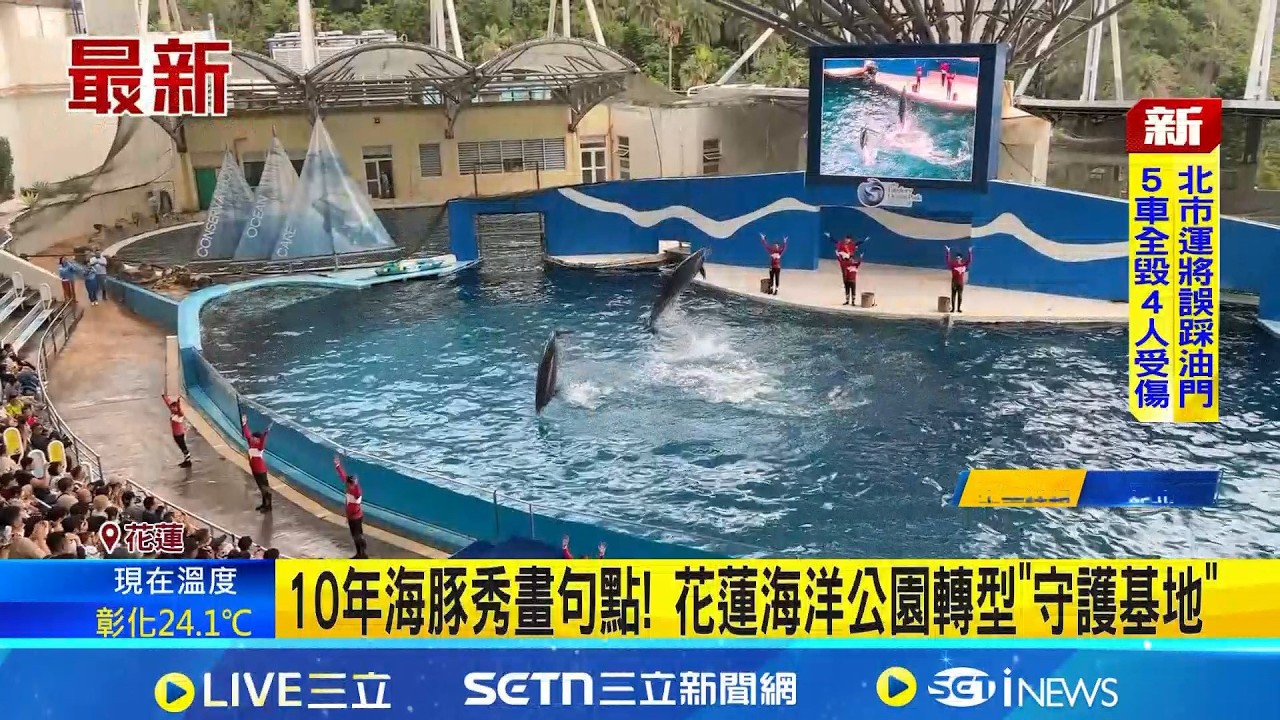 再見海豚秀! 10年海豚秀畫句點! 花蓮海洋公園轉型