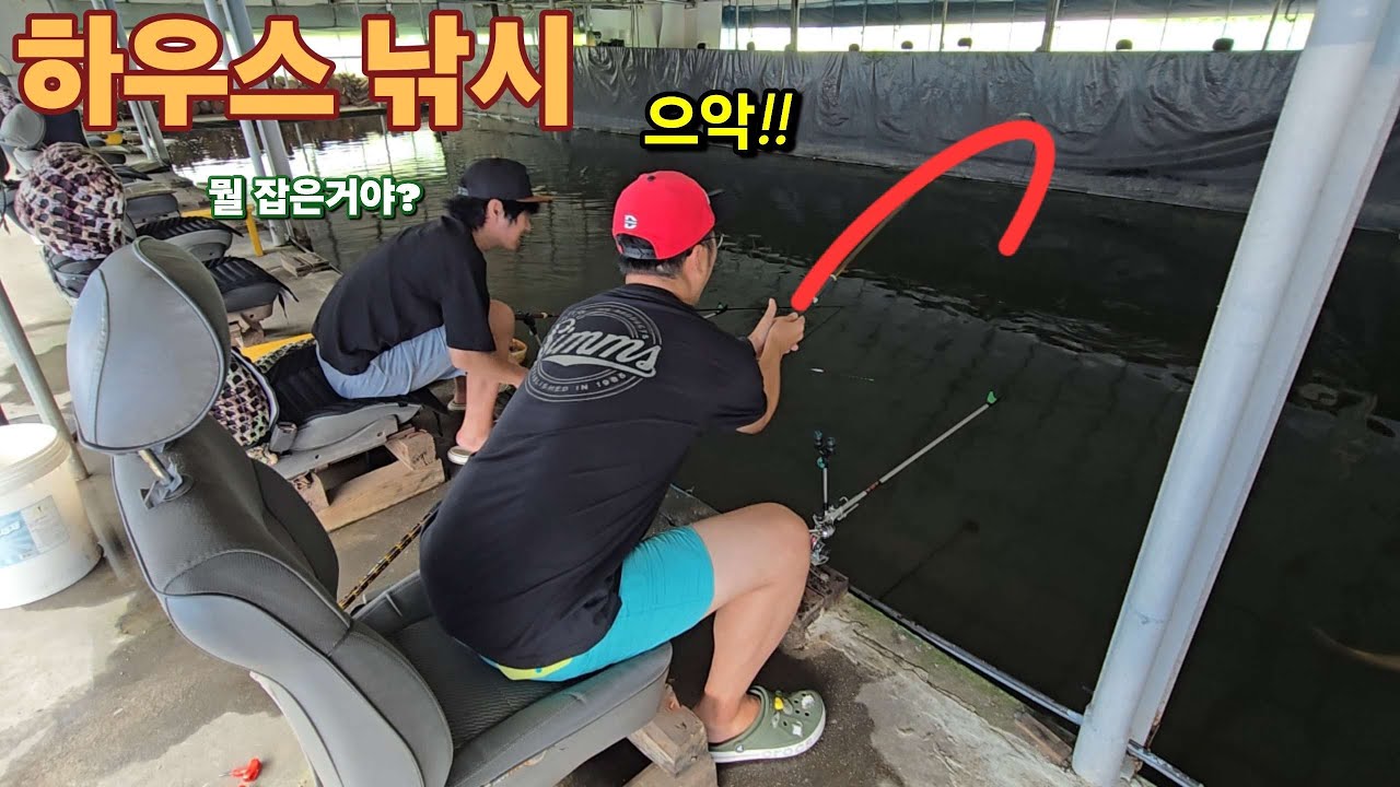 물고기가 바글바글 