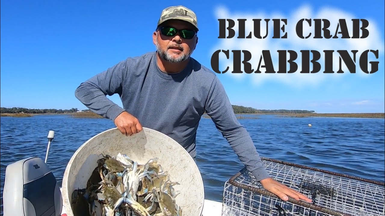 BLUE CRAB CRABBING (4 different baits, 4 pots, 4 pulls)