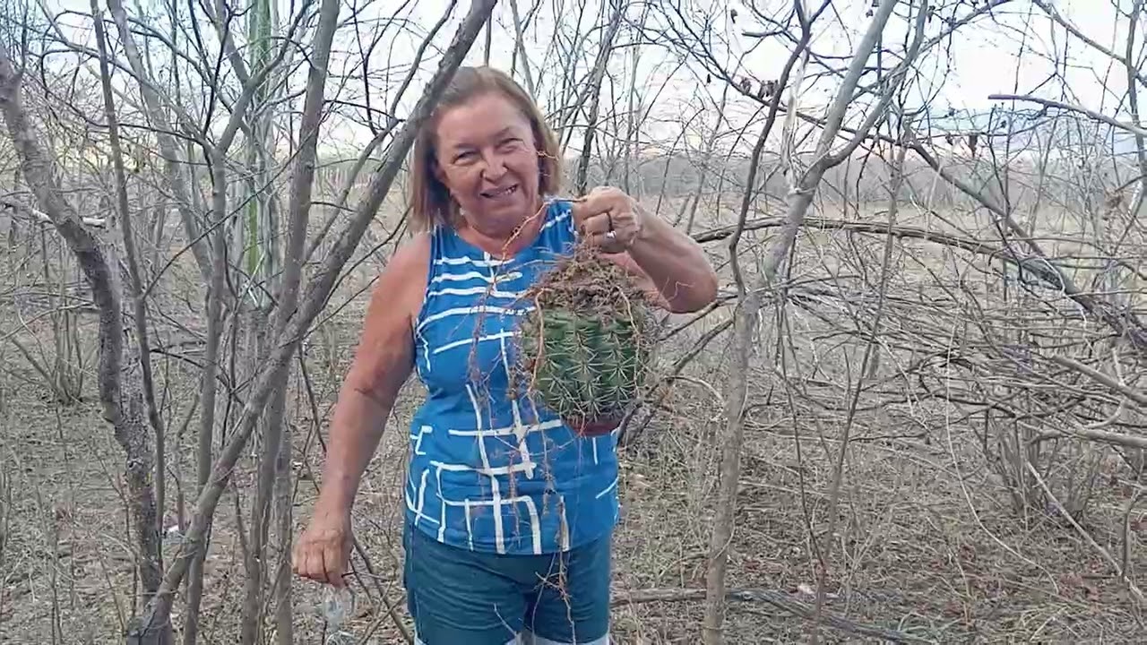 Ele rodou 1.600km até a roça do rancho!
