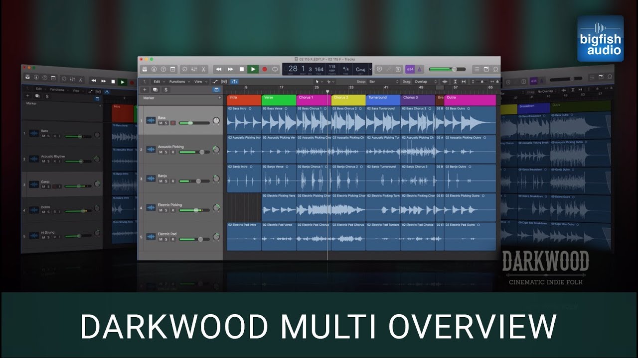 Darkwood: Cinematic Indie Folk - Multi Format