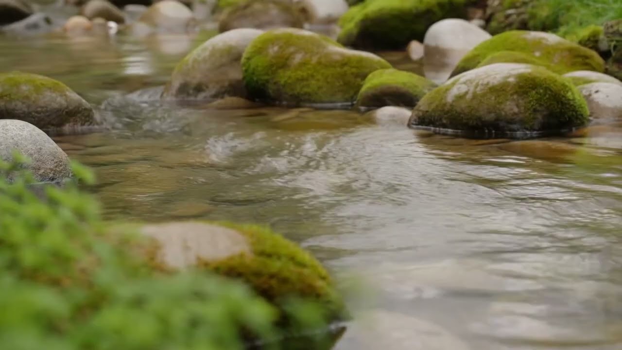 Flowing Water ASMR • Gentle Ambient Music for Deep Relaxation