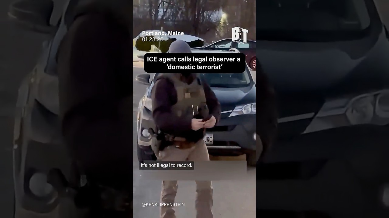 ICE agent calls legal observer 'domestic terrorist'