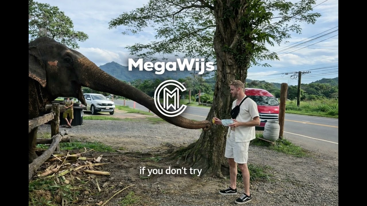 MegaWijs – If You Don't Try (Summer House)