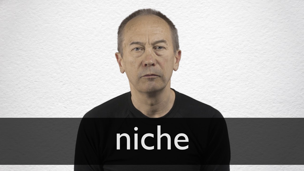 How to pronounce NICHE in British English