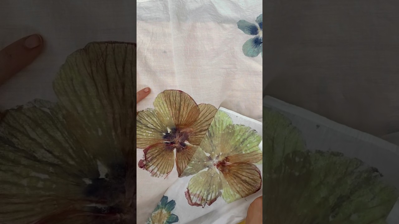 Flower Pounding Hibiscus 🌸 #ecoprinting #diy #art #ecoprint #naturaldye #flowerpound