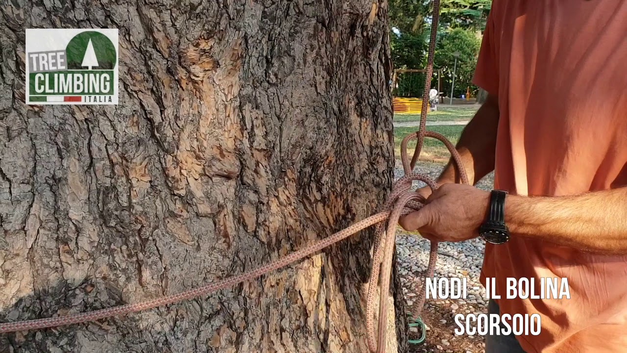 Nodi - Il bolina scorsoio