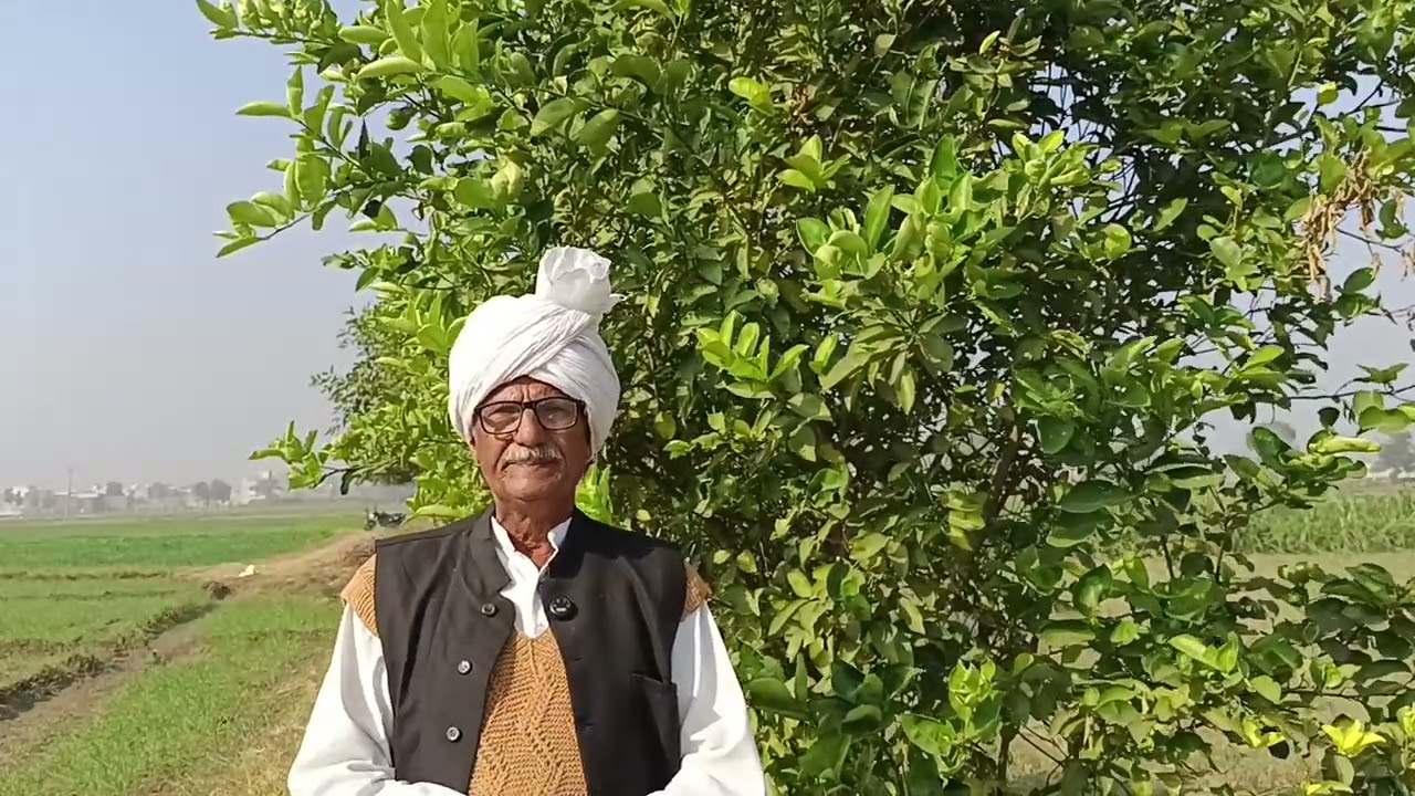 कैसे हुई एक ही घर में 6औरत विधवा जबकि तीन के तो पति भी जिंदा हैं पराई सिख के कारण भाई भाई हुए दुश्मन