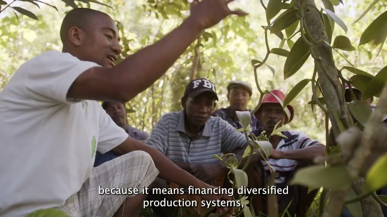 Financing the Agroecology Transition