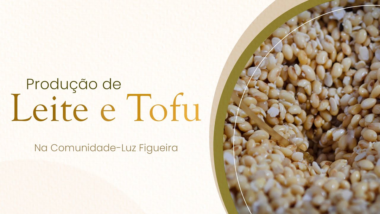 Produção de leite de soja e tofu na Comunidade - Luz Figueira