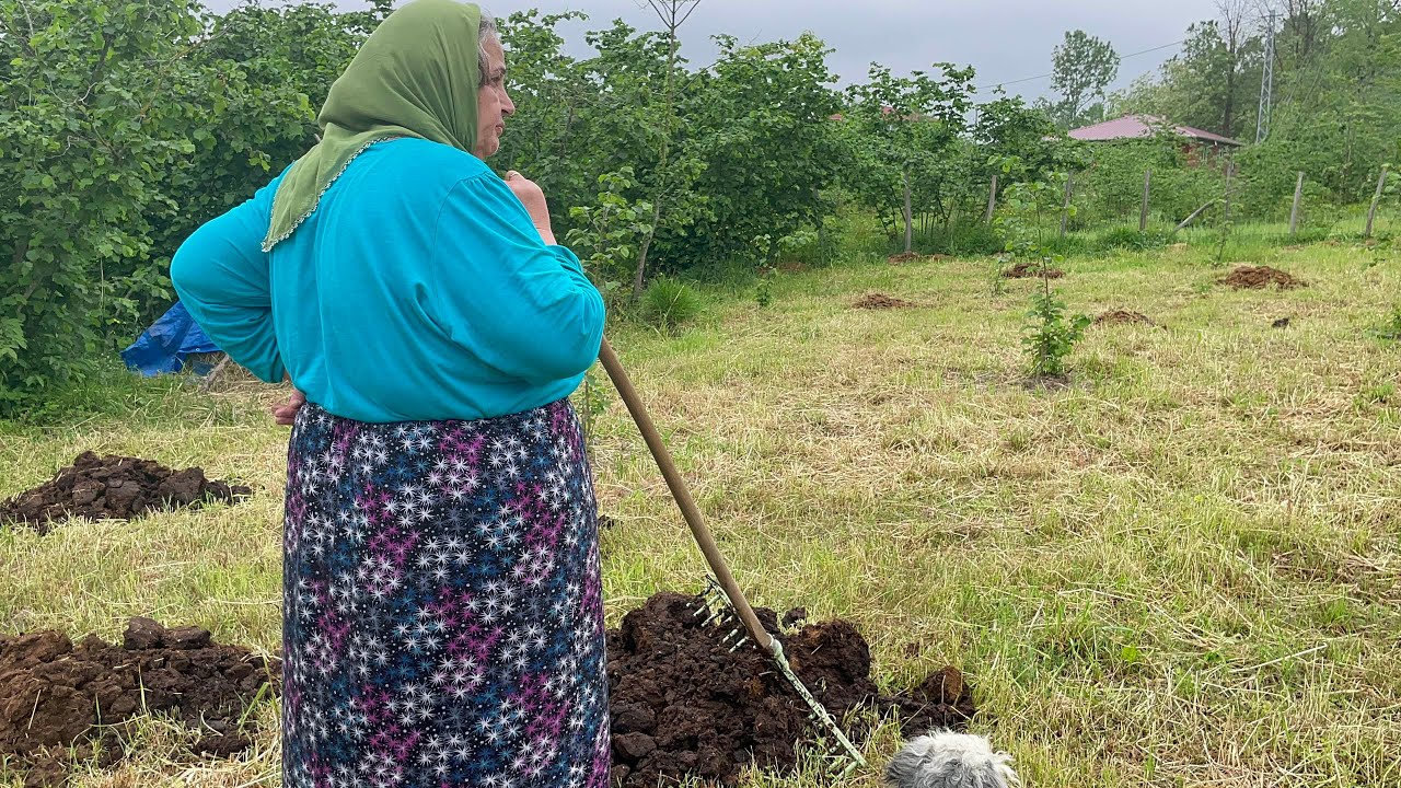 İŞLER BAŞLADI KÖY HAYATI BAHÇE HAZIRLIĞI BELGESEL