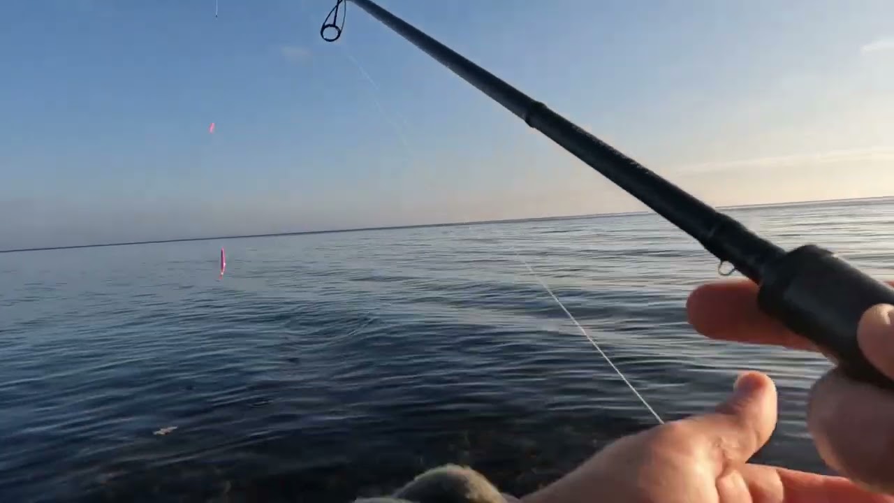 HAV&Oslash;RREDFISKERI - Spin med oph&aelig;ngerflue ( pattegris farve ) har givet en hav&oslash;rred p&aring; kontoen !!! 🐠🤘🐟