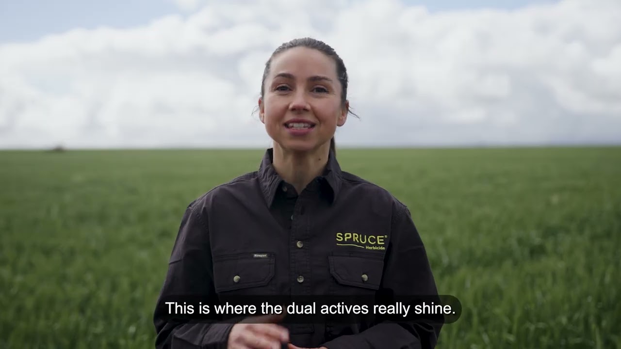 SPRUCE Herbicide Trial Data
