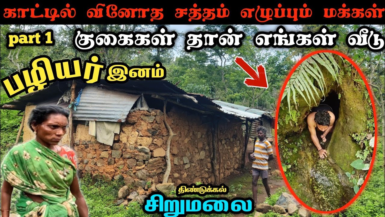 வினோத சத்தம் எழுப்பும் மக்கள்  sirumalai paliyar tribal village life #forest #tribal #nature #tamil