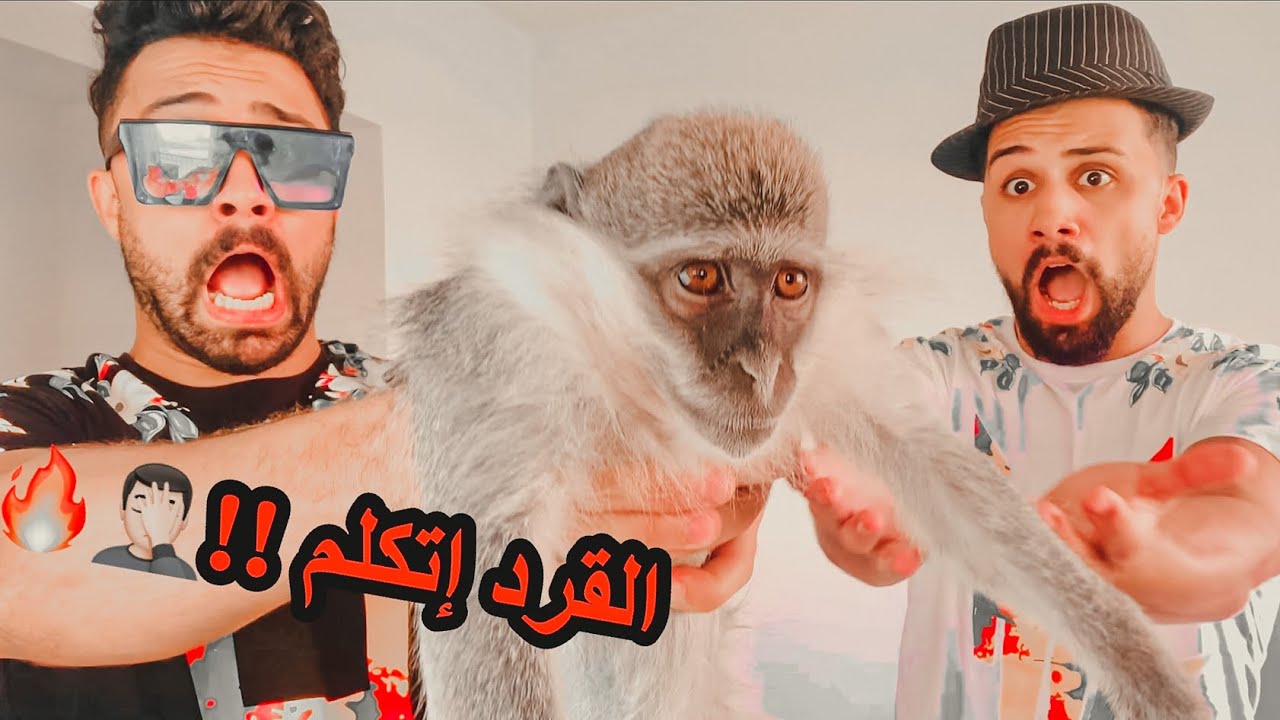 خليت القرد يتكلم | مقلب ( كان هيموت من الرعب)🤦🏻🔥😈