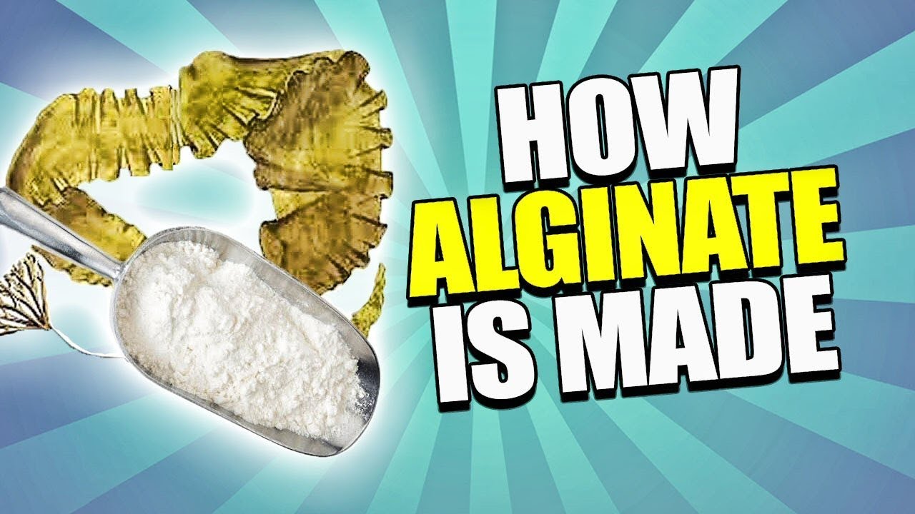 How Alginate is Made Tutorial
