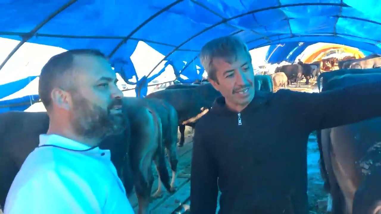 2022 KURBAN PAZARLIĞI (5 kişilik)