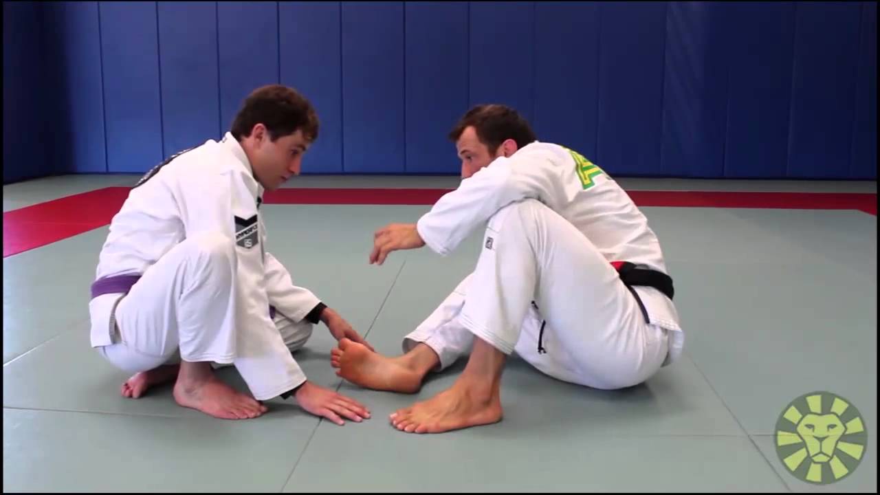 Turtle Guard Transitions and Recovery by Eduardo Telles (BJJLIBRARY.COM)