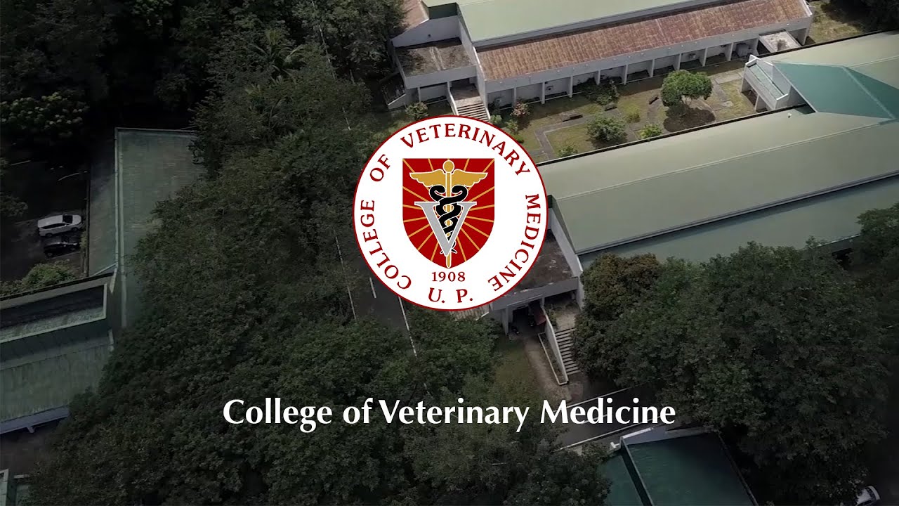 CVM | College of Veterinary Medicine