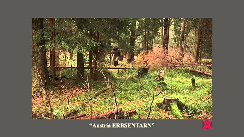 wald2 Austria ERBSENTARN