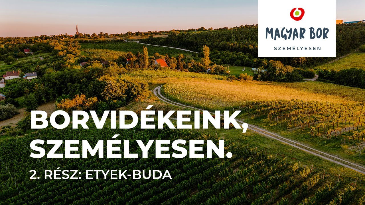 Borvidékeink, személyesen. 2. rész: Etyek-Buda