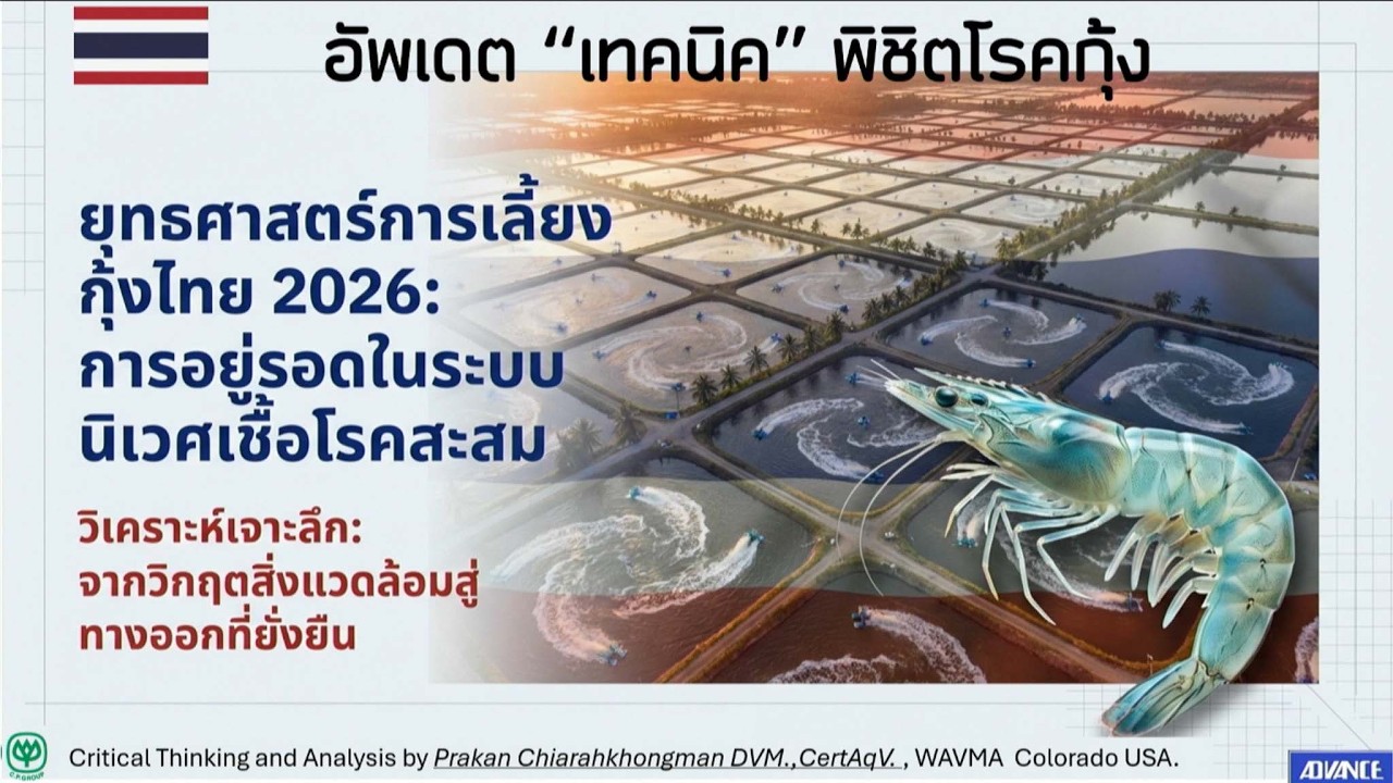 อัพเดด 