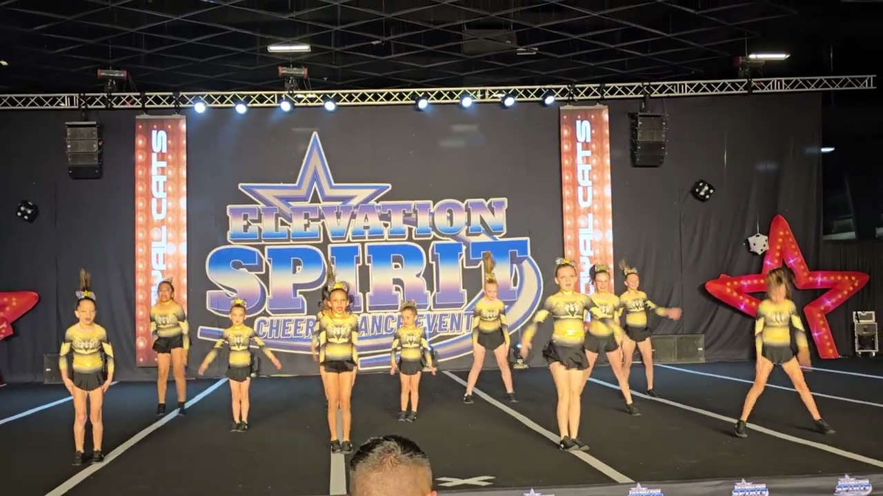 Elevatiin Spirit High Stakes Nationals 2026 Chocktaw Event Center Oklahoma ROYALCATS