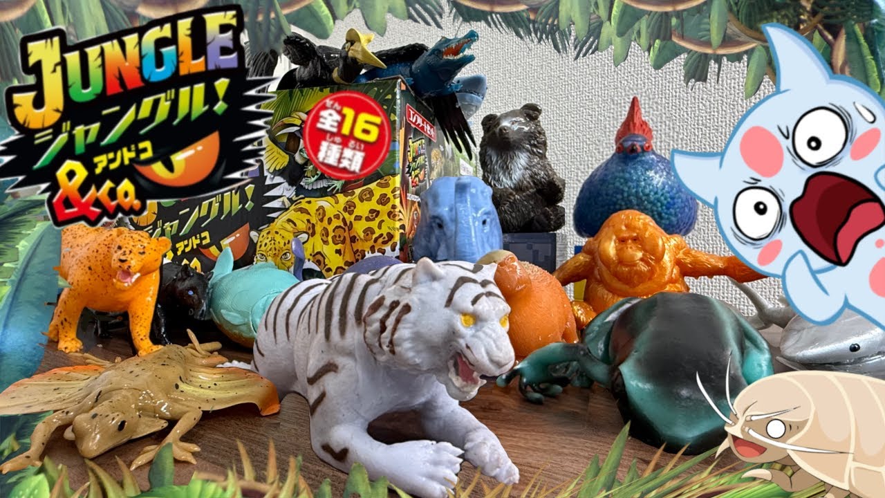 デアゴスティーニジャングル＆CO.で生き物を解説