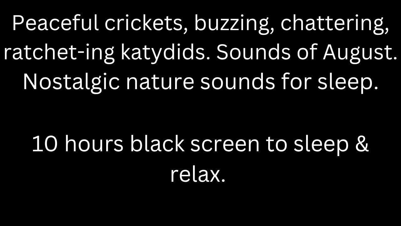 Peaceful crickets, buzzing chattering katydids, black screen sleep relax 10 hour cricket sounds