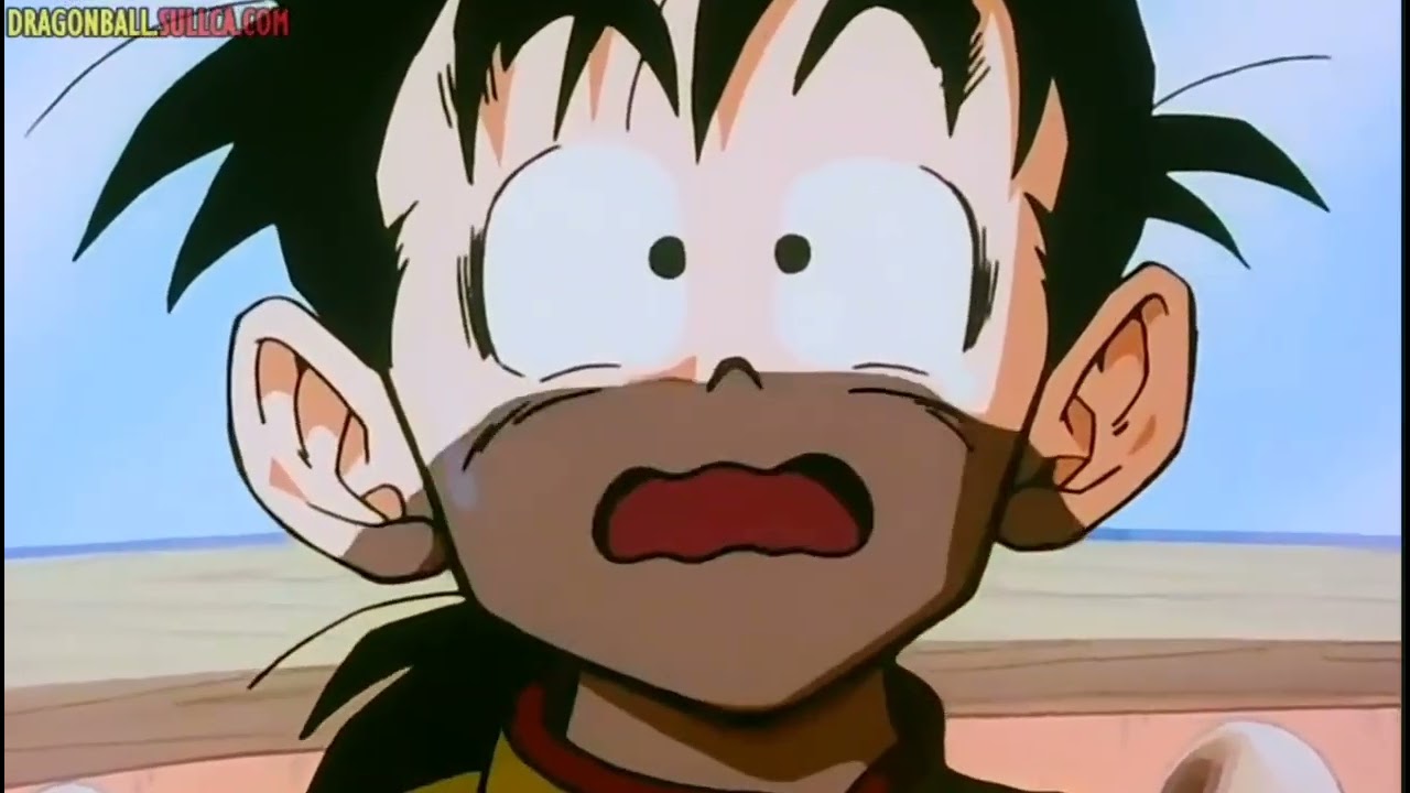 La familia de la narcisista #dragonball #dragonballz #goku #anime 